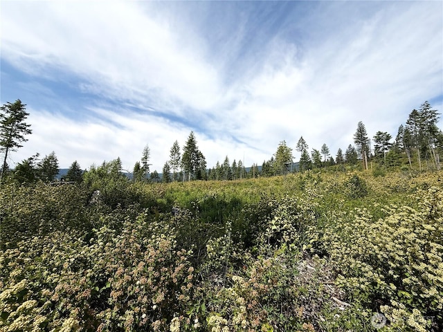 0 Rockabye Ln, Curlew, WA 99118