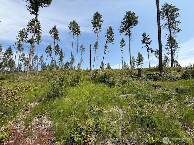 0 Rockabye Ln, Curlew, WA 99118