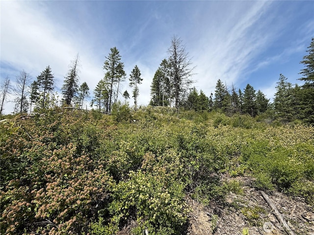 0 Rockabye Ln, Curlew, WA 99118
