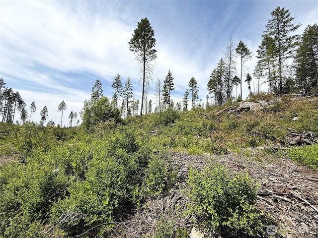0 Rockabye Ln, Curlew, WA 99118