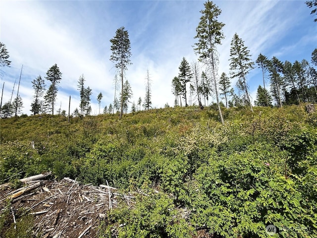 0 Rockabye Ln, Curlew, WA 99118