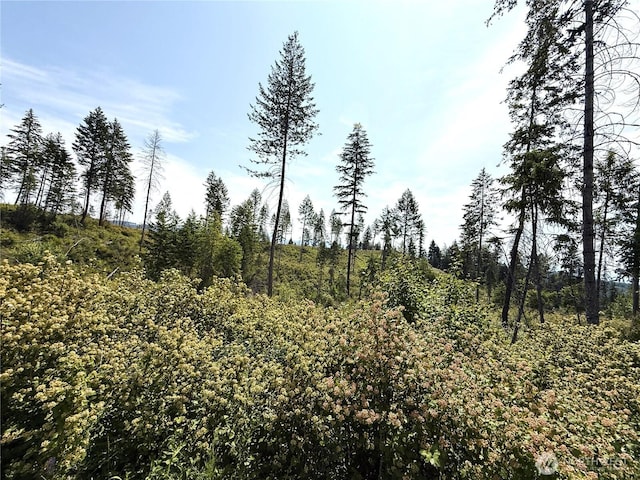 0 Rockabye Ln, Curlew, WA 99118