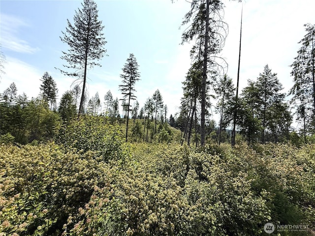 0 Rockabye Ln, Curlew, WA 99118