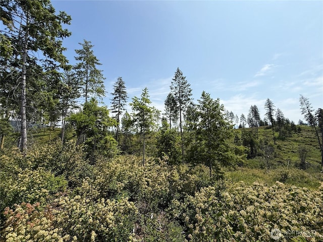 0 Rockabye Ln, Curlew, WA 99118