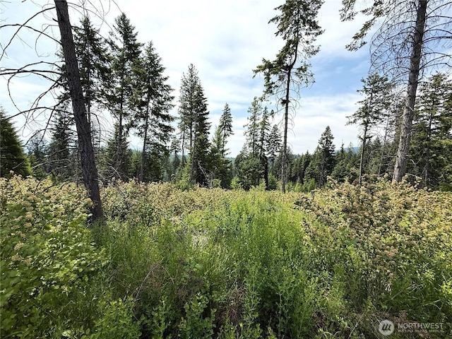 0 Rockabye Ln, Curlew, WA 99118