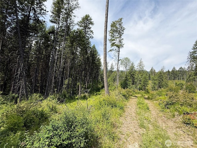 0 Rockabye Ln, Curlew, WA 99118