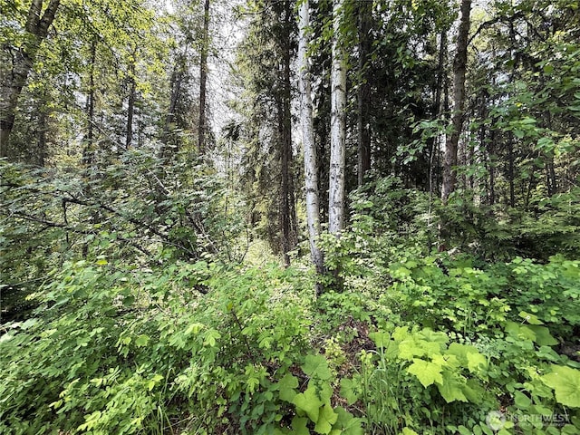 0 Rockabye Ln, Curlew, WA 99118