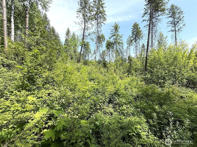 0 Rockabye Ln, Curlew, WA 99118