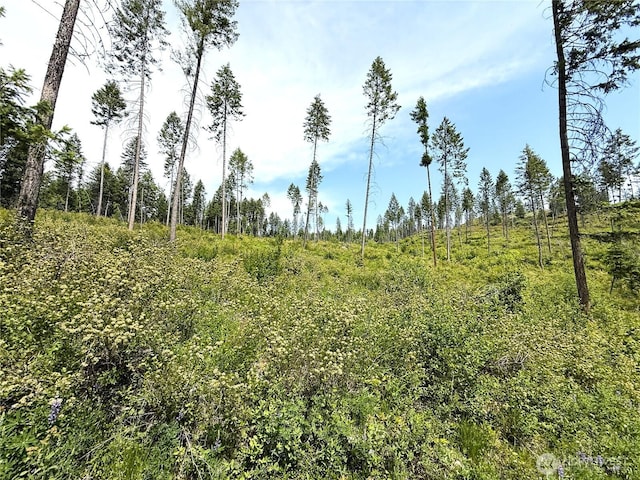 0 Rockabye Ln, Curlew, WA 99118