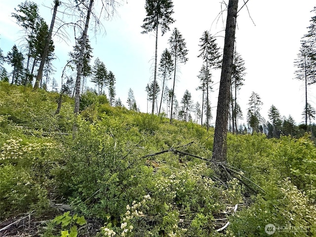 0 Rockabye Ln, Curlew, WA 99118