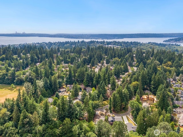11828 NE 103rd Pl, Kirkland, WA 98033 - photo 36