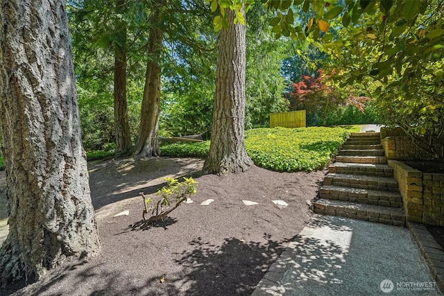22124 SE 38th St, Sammamish, WA 98075 - photo 23