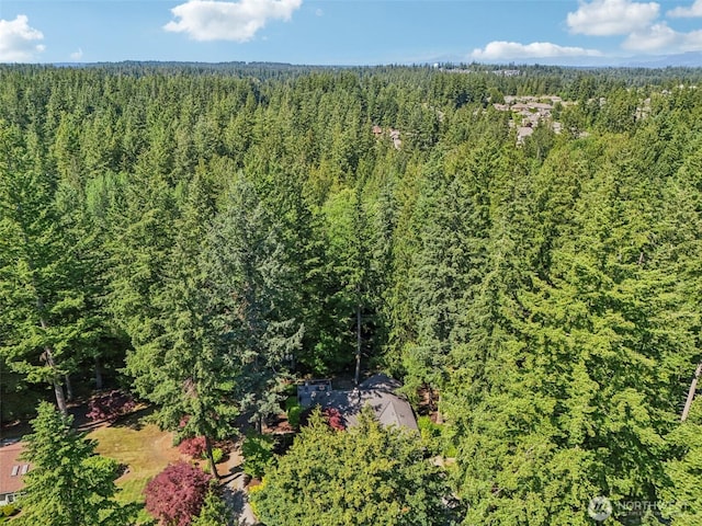 22124 SE 38th St, Sammamish, WA 98075 - photo 28
