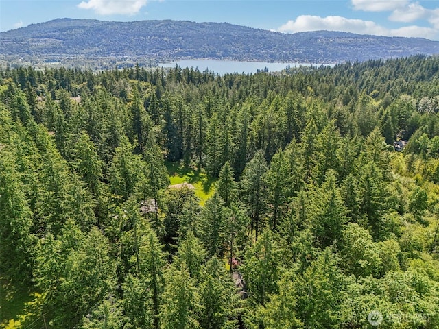 22124 SE 38th St, Sammamish, WA 98075 - photo 32