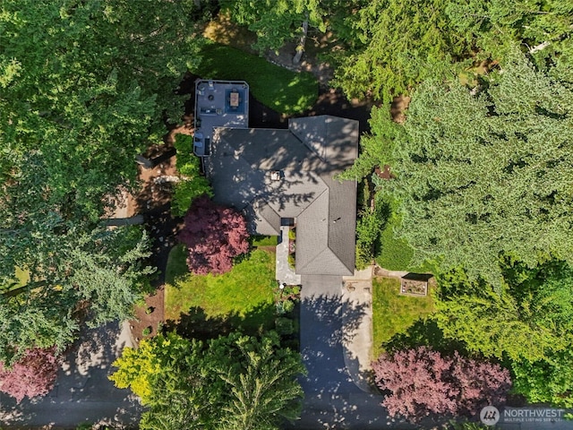 22124 SE 38th St, Sammamish, WA 98075 - photo 33