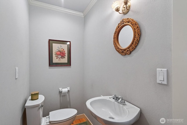 909 308th St NE, Stanwood, WA 98282 - bathroom featuring a sink and crown molding