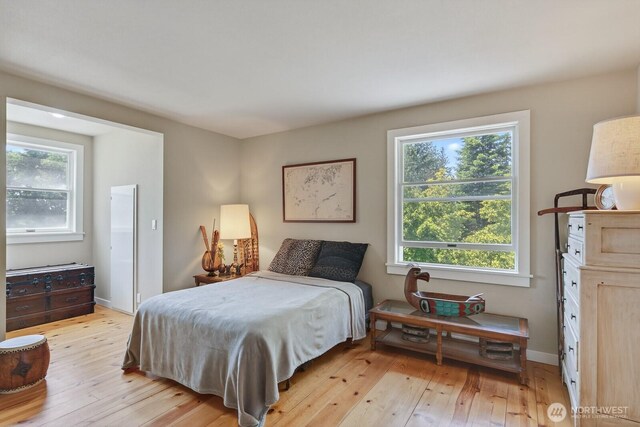 909 308th St NE, Stanwood, WA 98282 - bedroom featuring light wood-style flooring and multiple windows