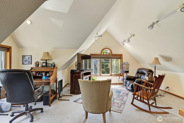 909 308th St NE, Stanwood, WA 98282 - carpeted office space with vaulted ceiling and track lighting