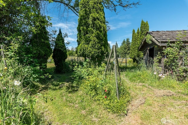 909 308th St NE, Stanwood, WA 98282 - view of nature