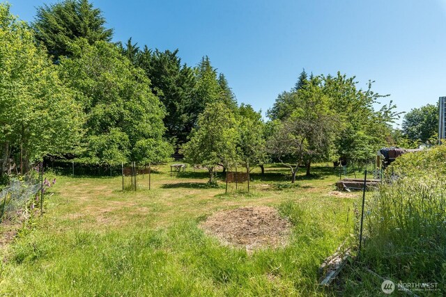 909 308th St NE, Stanwood, WA 98282 - view of yard