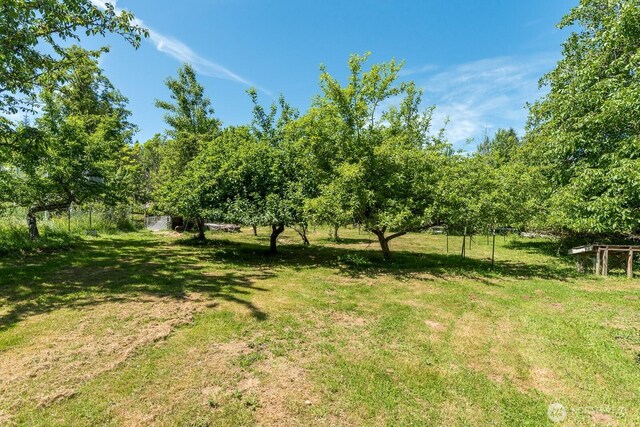 909 308th St NE, Stanwood, WA 98282 - view of yard