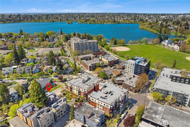 6544D Latona Ave NE, Seattle, WA 98115 - bird's eye view of a large body of water