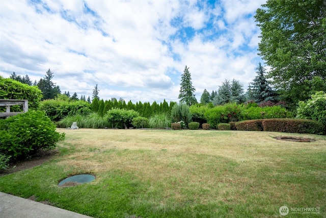 8024 68th Loop SE, Olympia, WA 98513 - photo 32
