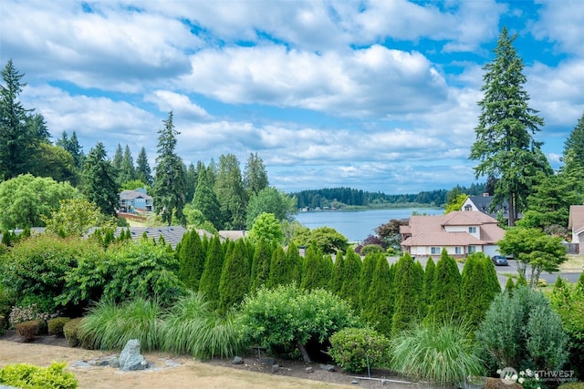8024 68th Loop SE, Olympia, WA 98513 - photo 33