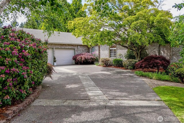 8024 68th Loop SE, Olympia, WA 98513 - photo 4
