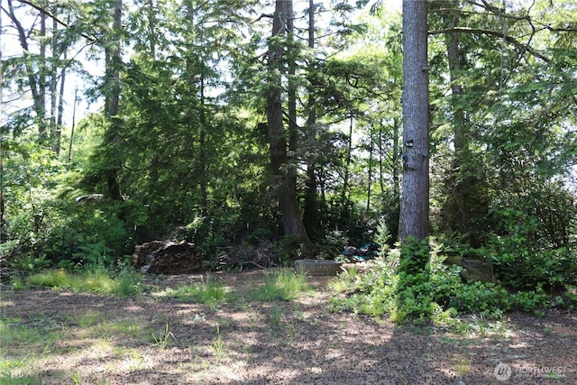 727 Chenois Ave NE, Ocean Shores, WA 98569 - photo 3
