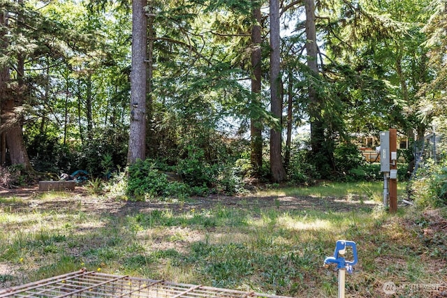 727 Chenois Ave NE, Ocean Shores, WA 98569 - photo 12