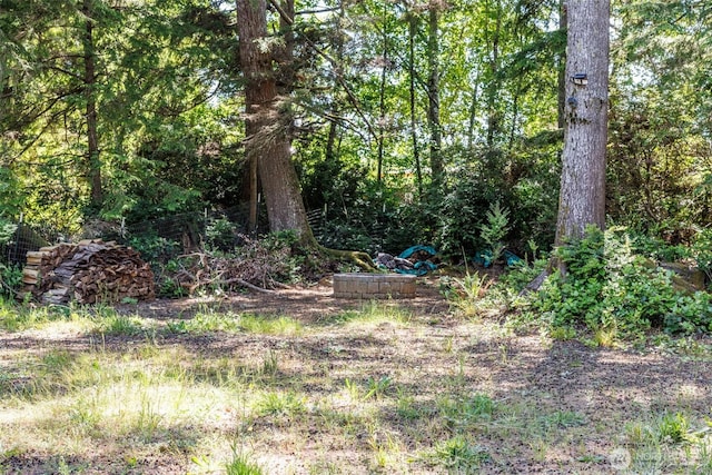 727 Chenois Ave NE, Ocean Shores, WA 98569 - photo 13