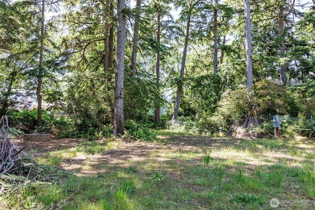 727 Chenois Ave NE, Ocean Shores, WA 98569 - photo 14