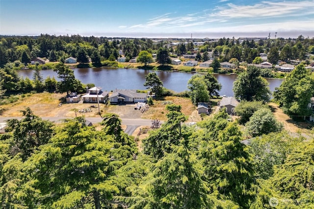 727 Chenois Ave NE, Ocean Shores, WA 98569 - photo 17