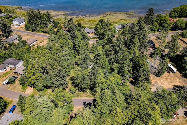 727 Chenois Ave NE, Ocean Shores, WA 98569 - photo 19