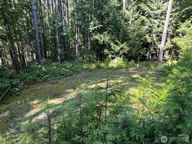 5156 N Lake Cushman Rd, Hoodsport, WA 98548