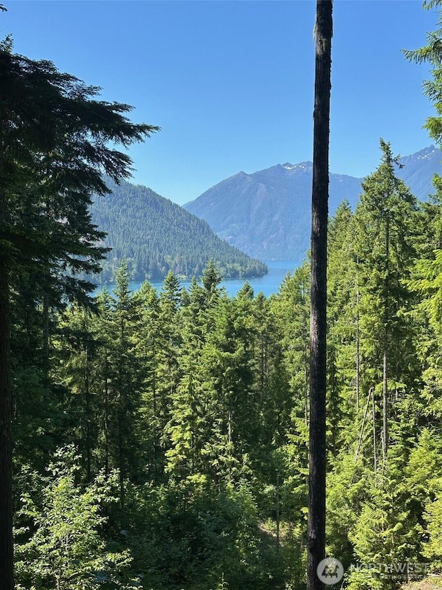 5156 N Lake Cushman Rd, Hoodsport, WA 98548