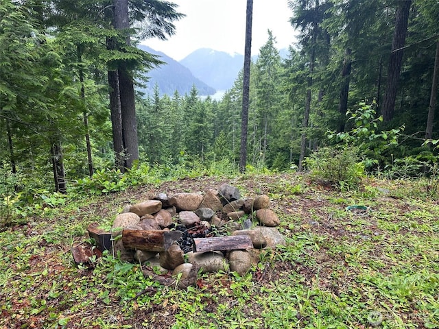 5156 N Lake Cushman Rd, Hoodsport, WA 98548