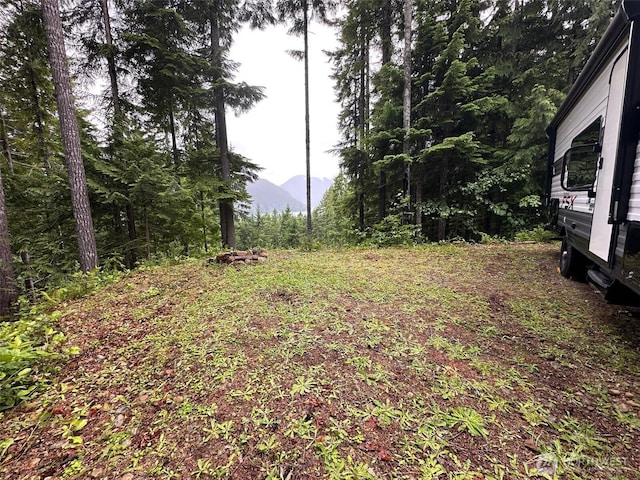 5156 N Lake Cushman Rd, Hoodsport, WA 98548