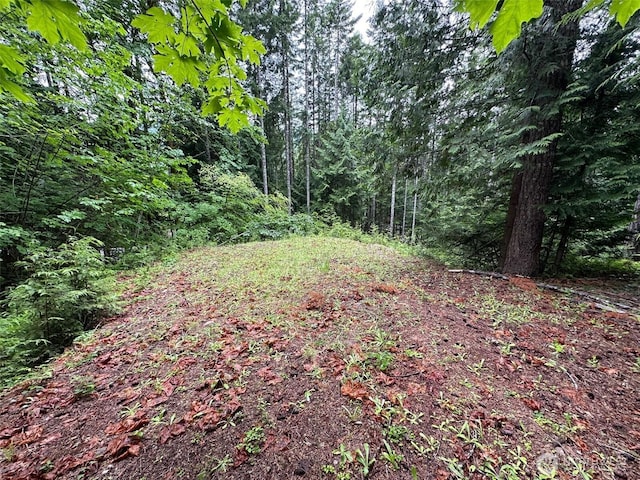 5156 N Lake Cushman Rd, Hoodsport, WA 98548