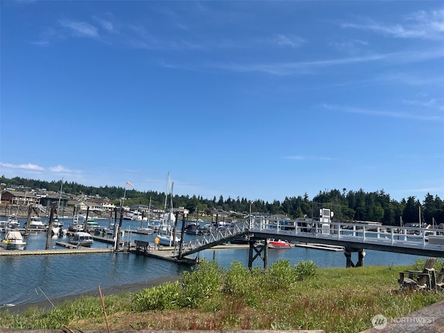 37692 Buck Rd NE, Hansville, WA 98340 - photo 8