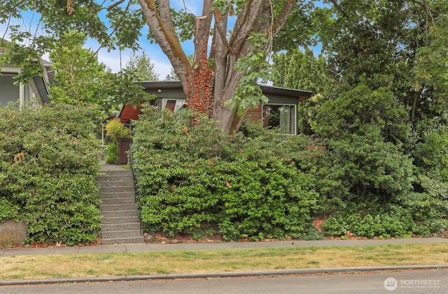 1919 2nd Ave W, Seattle, WA 98119 - view of property hidden behind natural elements featuring stairway
