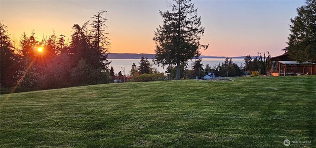 347 Ravenswood Ln, Camano Island, WA 98282 - photo 29