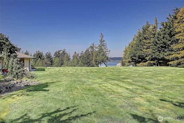 347 Ravenswood Ln, Camano Island, WA 98282 - photo 31