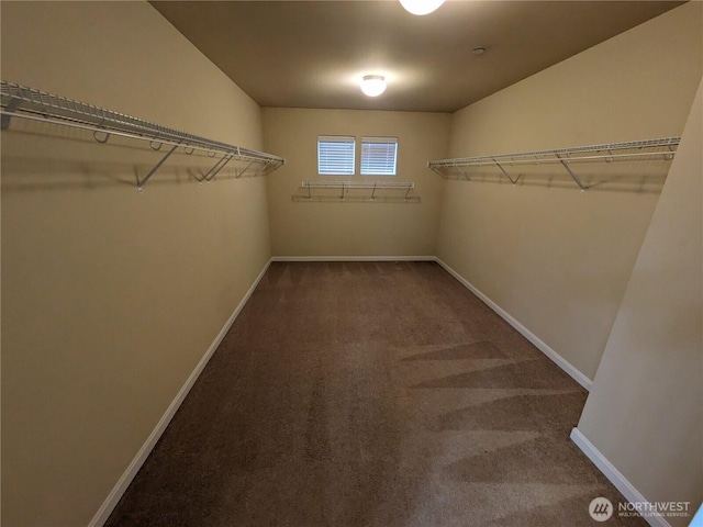 1077 Hiton Cir, Dupont, WA 98327 - walk in closet featuring carpet flooring