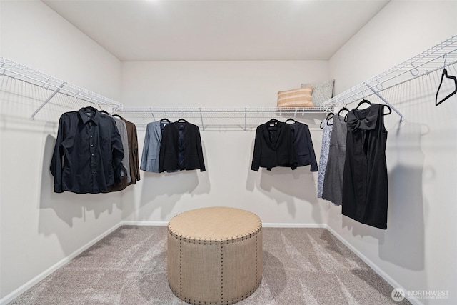 8705 126th Street Ct E, Puyallup, WA 98374 - spacious closet with carpet floors