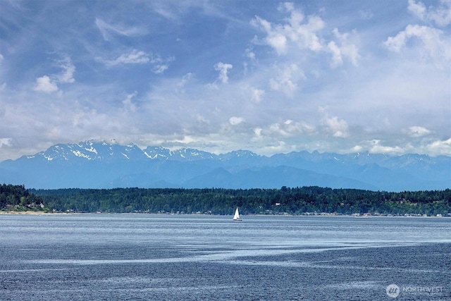 4131 Beach Dr SW, Seattle, WA 98116 - photo 3