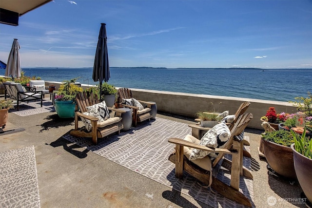 4131 Beach Dr SW, Seattle, WA 98116 - photo 11