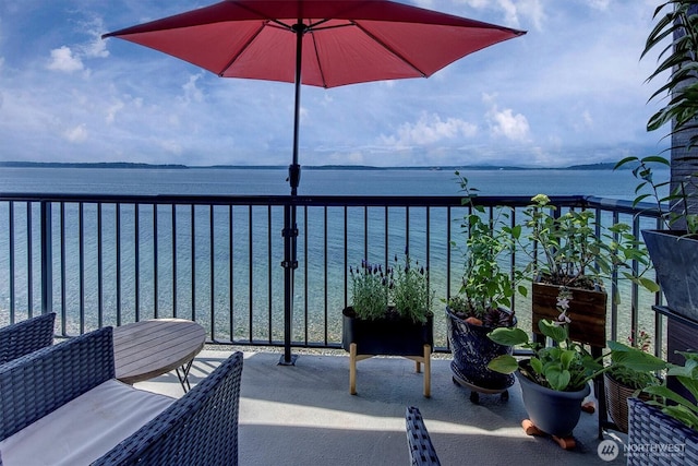4131 Beach Dr SW, Seattle, WA 98116 - photo 31