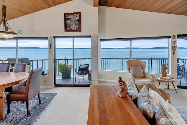 4131 Beach Dr SW, Seattle, WA 98116 - photo 33